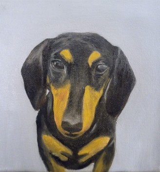 Dachshund — oil on canvas by Kevin Quinn