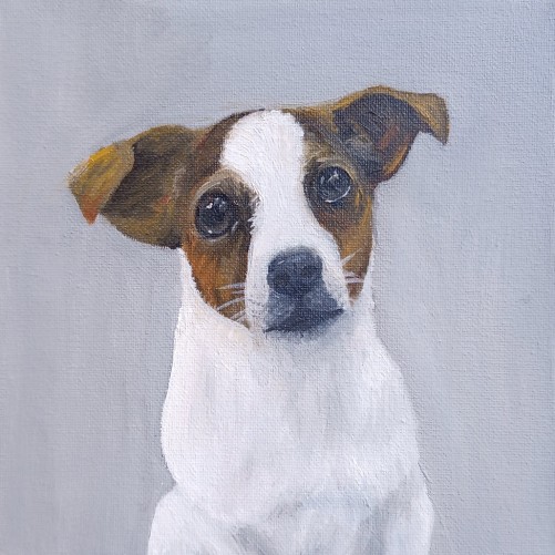 Jack Russell Terrier — oil painting by Kevin Quinn